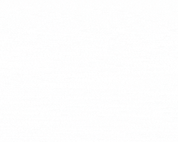 019040 - Língua Portuguesa II - 2025/1:Técnico em Informática para Internet Integrado ao Ensino Médio, Integrado, 2º Período, Turno Integral (2025)