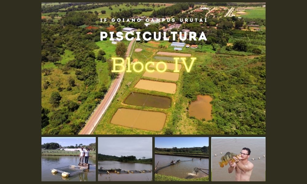 Técnico em Agropecuária Matutino - Urutaí - 20211.01AGP11M.4M - 2021/1 ( 4º período ) - 162919 - Tópicos Especiais - Técnico em Agropecuária Matutino - Urutaí