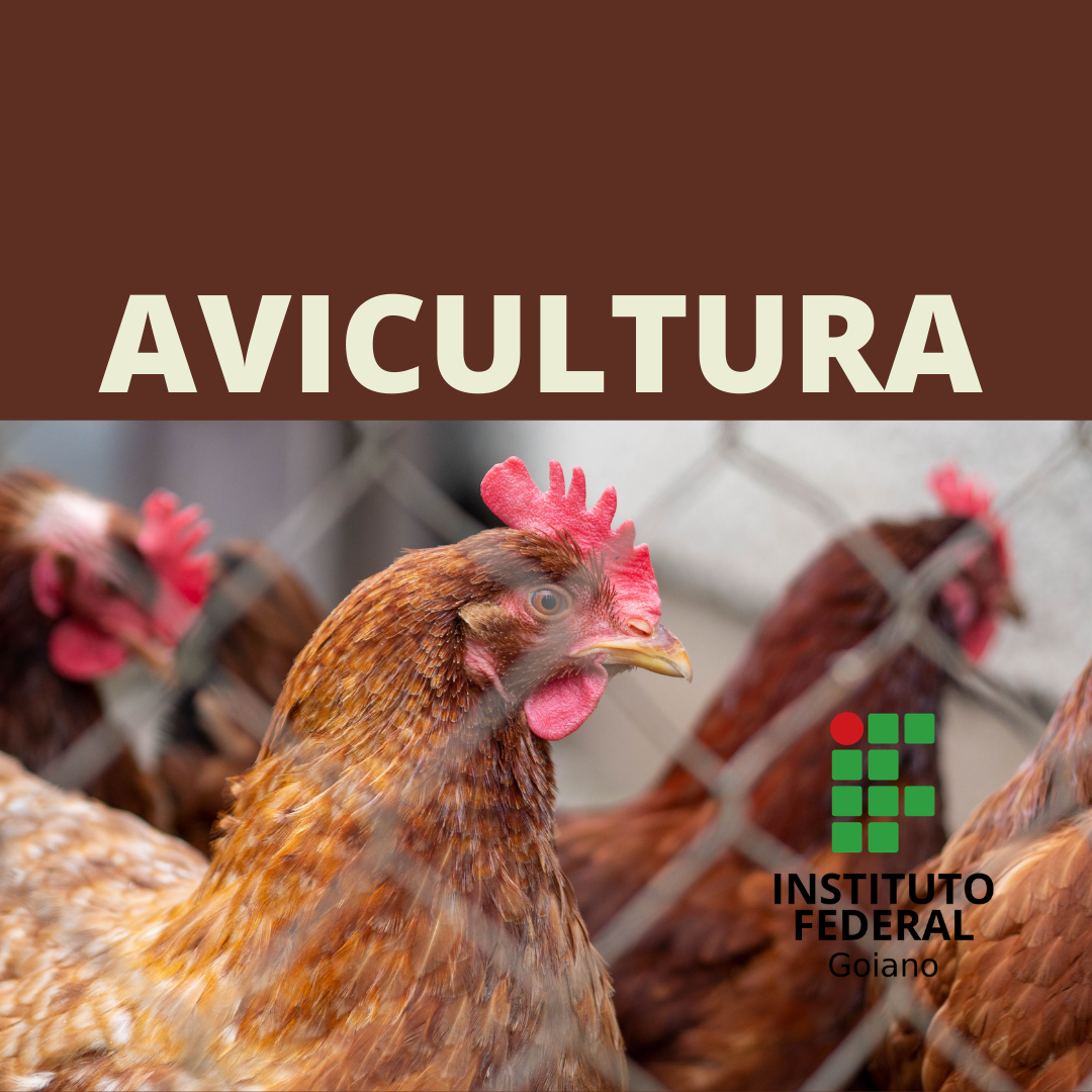 Técnico em Agropecuária Vespertino - Urutaí - 20211.01AGP11V.2V - 2021/1 ( 2º período ) - 162920 - Avicultura - Técnico Urutaí