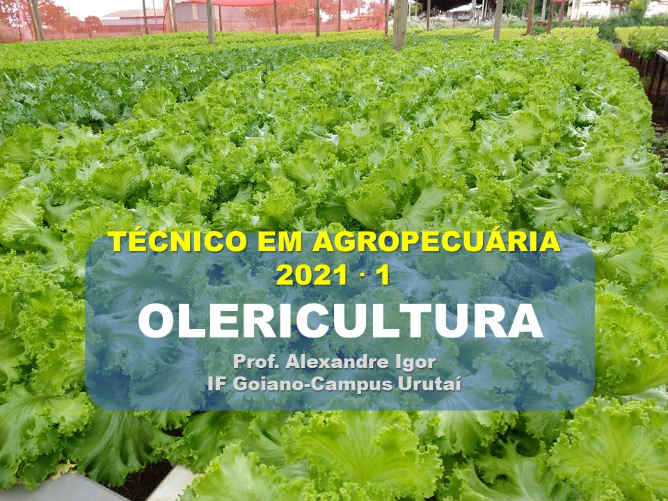 Técnico em Agropecuária Vespertino - Urutaí - 20211.01AGP11V.2V - 2021/1 ( 2º período ) - 162922 - Olericultura - Técnico Urutaí