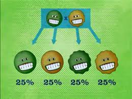 019940 - Genética - 2025/1:Licenciatura em Ciências Biológicas, Licenciatura, 5º Período, Turno Noturno (2025)