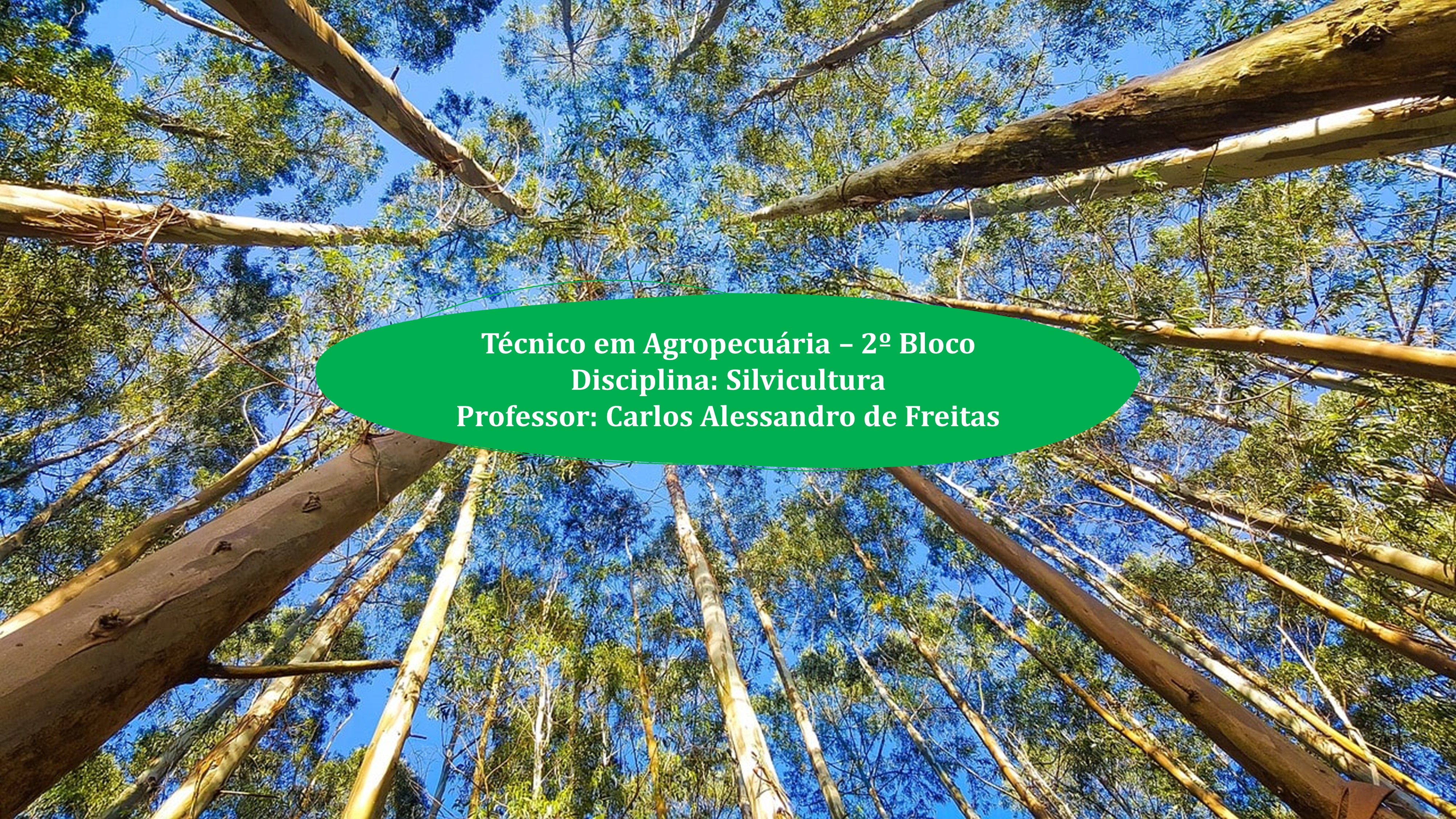 Técnico em Agropecuária Vespertino - Urutaí - 20211.01AGP11V.2V - 2021/1 ( 2º período ) - 162924 - Silvicultura - Técnico Urutaí