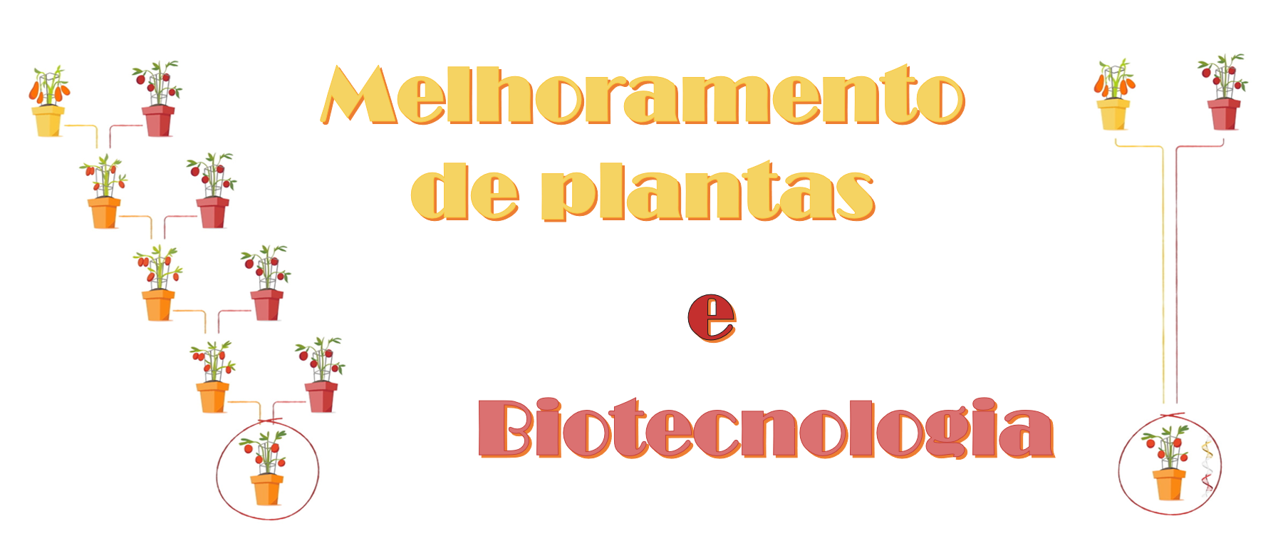 018523 - Melhoramento de Plantas e Biotecnologia - 2025/1:Bacharelado em Agronomia, Bacharelado, 5º Período, Turno Integral (2025)