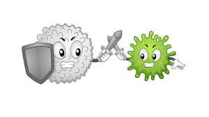 019949 - Imunologia - 2025/1:Licenciatura em Ciências Biológicas, Licenciatura, 7º Período, Turno Noturno (2025)