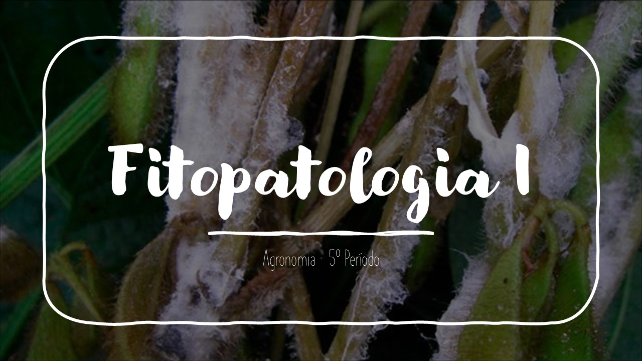 018661 - Fitopatologia I - 2025/1:Bacharelado em Agronomia, Bacharelado, 5º Período, Turno Integral (2025)