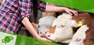 021851 - Química Geral e Analítica - 2025/1:Bacharelado em Zootecnia, Bacharelado, 1º Período, Turno Integral (2025)