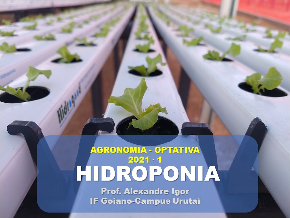 Hidroponia e Ambiente Protegido - AGRO - 2021.1 optativa