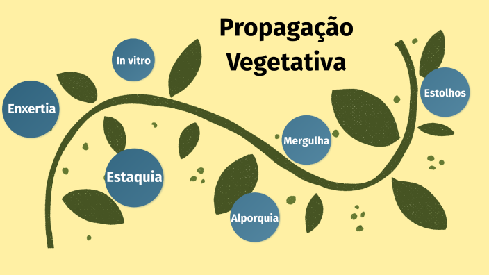 020504 - Propagação de Plantas - 2025/1:Técnico em Agropecuária, Técnico Concomitante, 1º Período, Turno Matutino (2025)