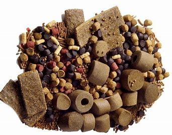 022477 - Formulação de Ração - 2025/1:Bacharelado em Zootecnia, Bacharelado, 6º Período, Turno Integral (2025)