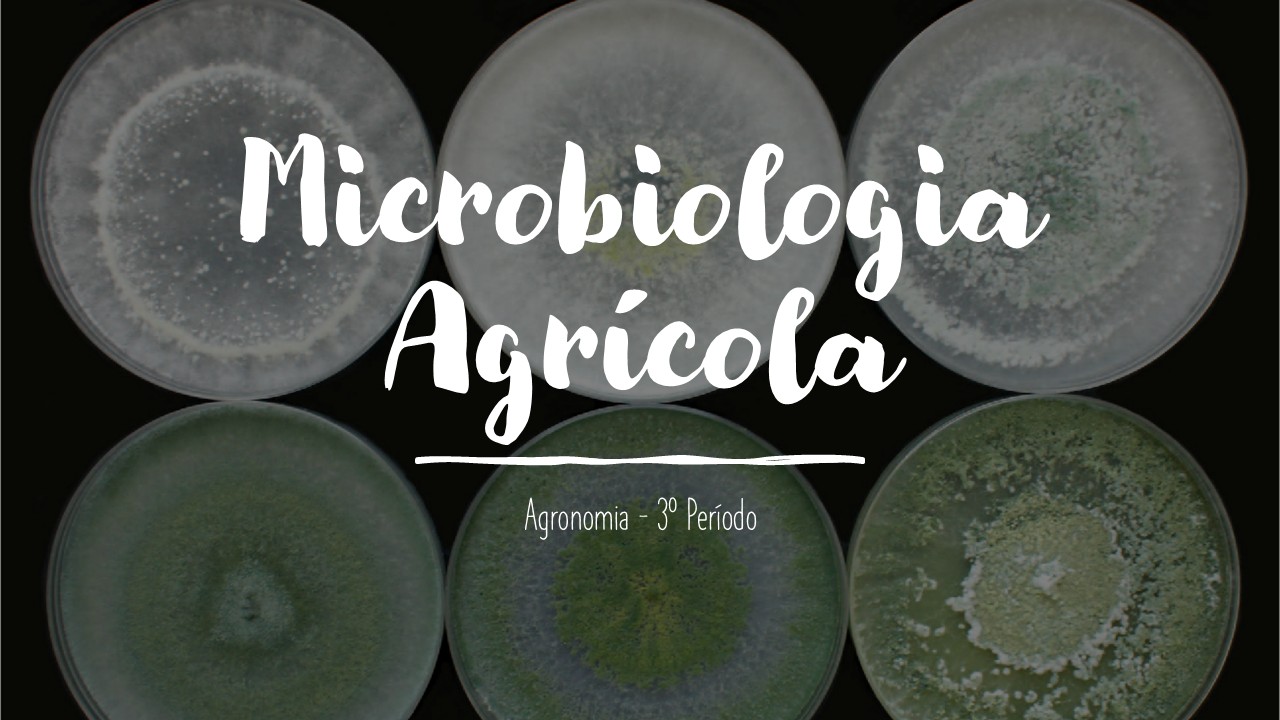 018657 - Microbiologia Agrícola - 2025/1:Bacharelado em Agronomia, Bacharelado, 3º Período, Turno Integral (2025)