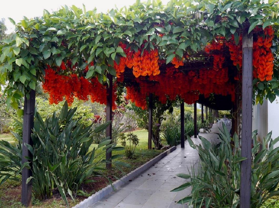 018702 - Paisagismo - 2025/1:Superior de Tecnologia em Horticultura, Tecnologia, 5º Período, Turno Noturno (2025)