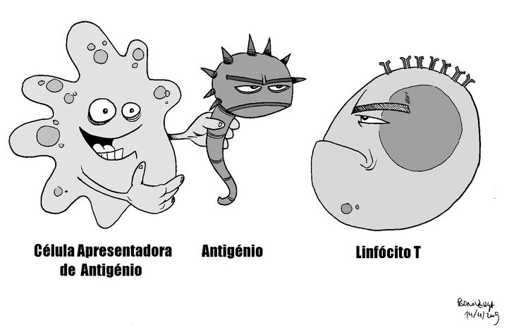 024023 - Imunologia - 2025/2:Bacharelado em Ciências Biológicas, Bacharelado, 6º Período, Turno Matutino (2025)