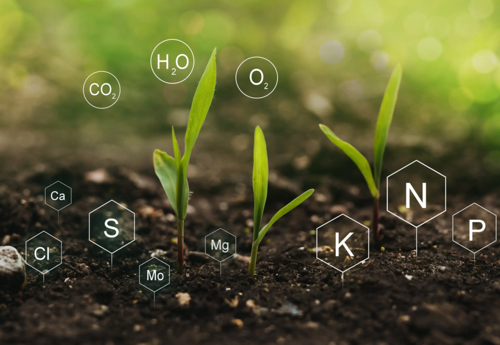 Fertilidade do Solo - 2025/2: Bacharelado em Agronomia, 4º Período (2025)