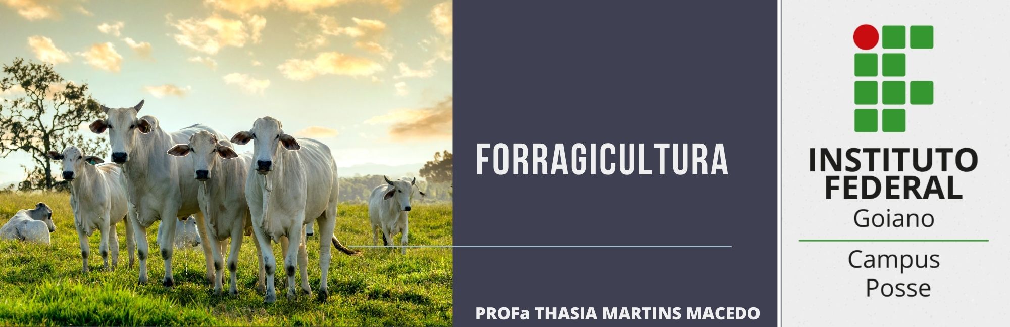 024287 - Forragicultura - 2025/2:Bacharelado em Agronomia, Bacharelado, 6º Período, Turno Integral (2025)