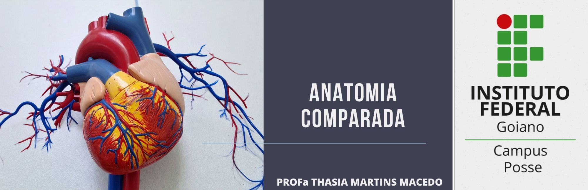 024730 - Anatomia Comparada - 2025/2:Licenciatura em Ciências Biológicas, Licenciatura, 4º Período, Turno Noturno (2025)
