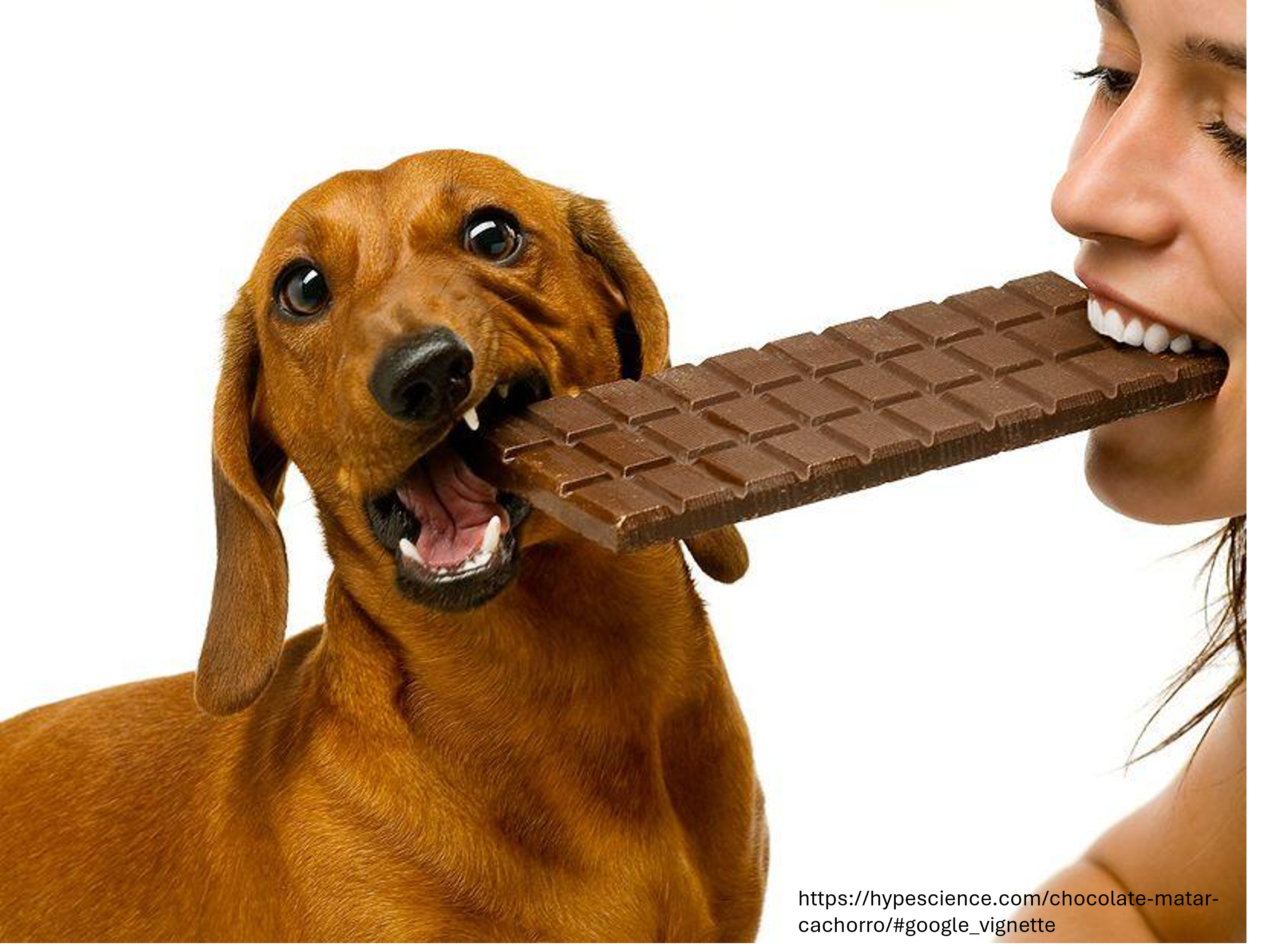  Toxicologia - 2025/2