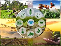 025091 - Agricultura Geral - 2025/2:Técnico em Agropecuária, Técnico Concomitante, 1º Período, Turno Matutino (2025)