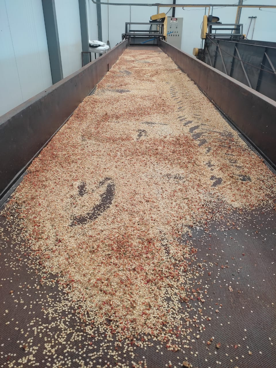 025679 - Tecnologia de produção de sementes de hortaliças - 2025/2:Mestrado Profissional em Olericultura, Mestrado, 1º Período, Matriz 513, Turno Integral (2025)