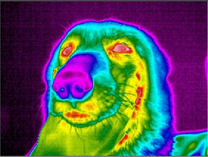026666 - Física III - 2026/1:Técnico em Administração Integrado ao Ensino Médio, Integrado, 3º Período, Matriz 346, Turno Diurno (2026)