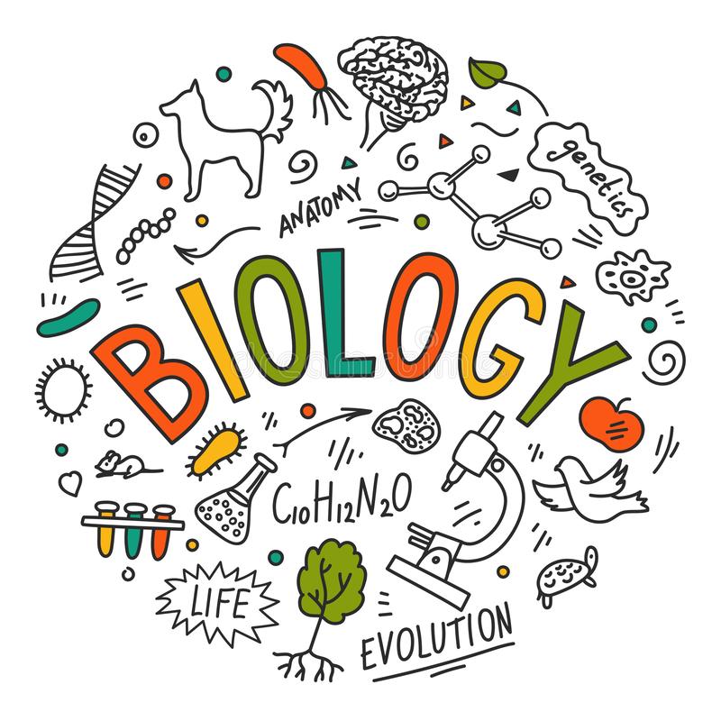 027448 - Biologia I - 2026/1:Técnico em Informática para Internet Integrado ao Ensino Médio, Integrado, 1º Período, Matriz 349, Turno Integral (2026)