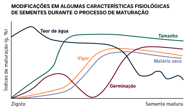 027263 - Produção e Tecnologia de Sementes - 2026/1:Bacharelado em Agronomia, Bacharelado, 5º Período, Matriz 85, Turno Integral (2026)