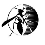 027807 - Entomologia Agrícola - 2026/1:Bacharelado em Agronomia, Bacharelado, 5º Período, Matriz 205, Turno Integral (2026)