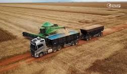 027933 - Logística no Agronegócio - 2026/1:Técnico em Agronegócio Integrado ao Ensino Médio - Campus Ipameri, Integrado, 1º Período, Matriz 478, Turno Diurno (2026)