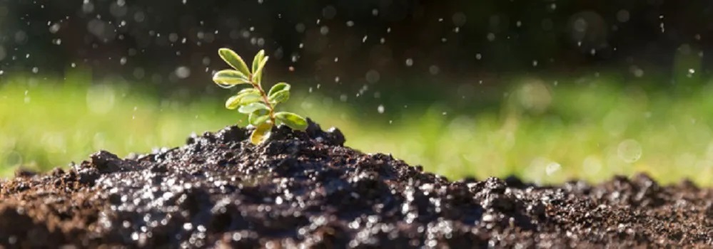 027855 - Física do Solo - 2026/1:Bacharelado em Agronomia, Bacharelado, 3º Período, Matriz 281, Turno Integral (2026)