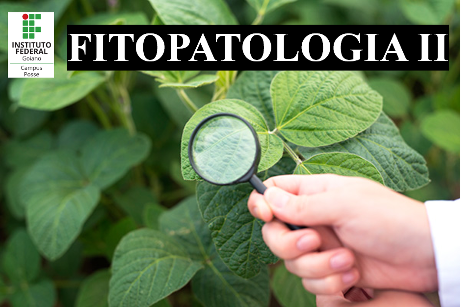 028295 - Fitopatologia II - 2026/1:Bacharelado em Agronomia, Bacharelado, 5º Período, Matriz 280, Turno Integral (2026)