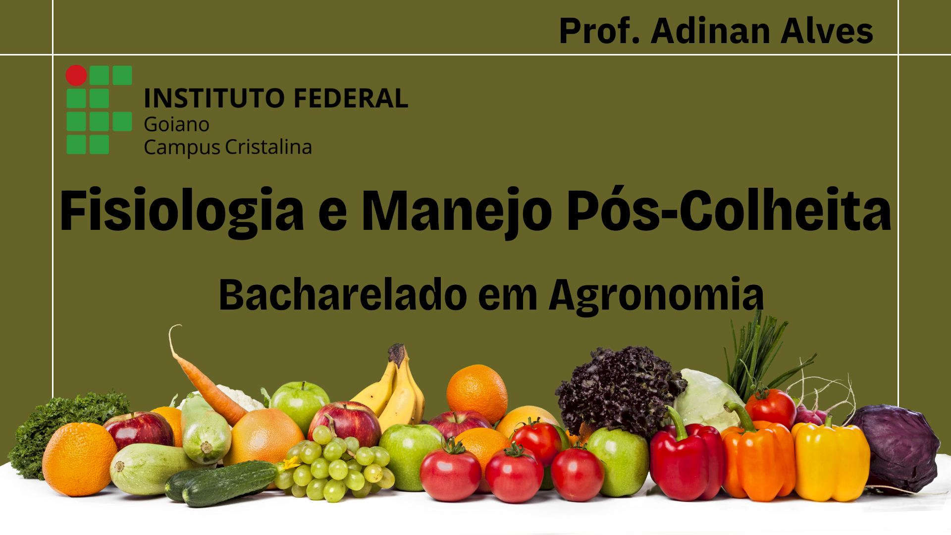 027877 - Fisiologia e Manejo Pós-Colheita - 2026/1:Bacharelado em Agronomia, Bacharelado, 9º Período, Matriz 281, Turno Integral (2026)