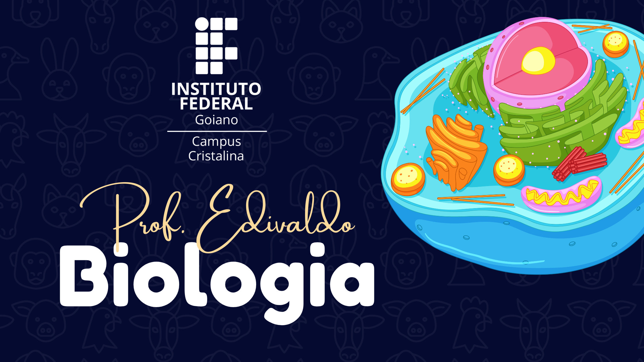 028122 - Biologia I - 2026/1:Técnico em Informática Integrado ao Ensino Médio, Integrado, 1º Período, Matriz 580, Turno Integral (2026)