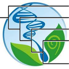 027889 - Sistemática vegetal - 2026/1:Licenciatura em Ciências Biológicas, Licenciatura, 5º Período, Matriz 209, Turno Noturno (2026)