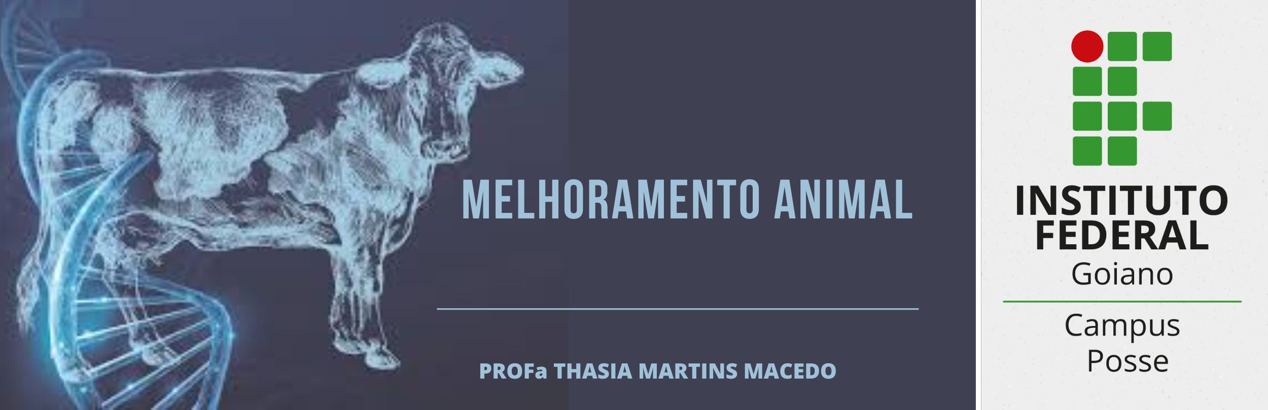 028629 - Melhoramento Animal - 2026/1:Bacharelado em Agronomia, Bacharelado, 7º Período, Matriz 280, Turno Integral (2026)