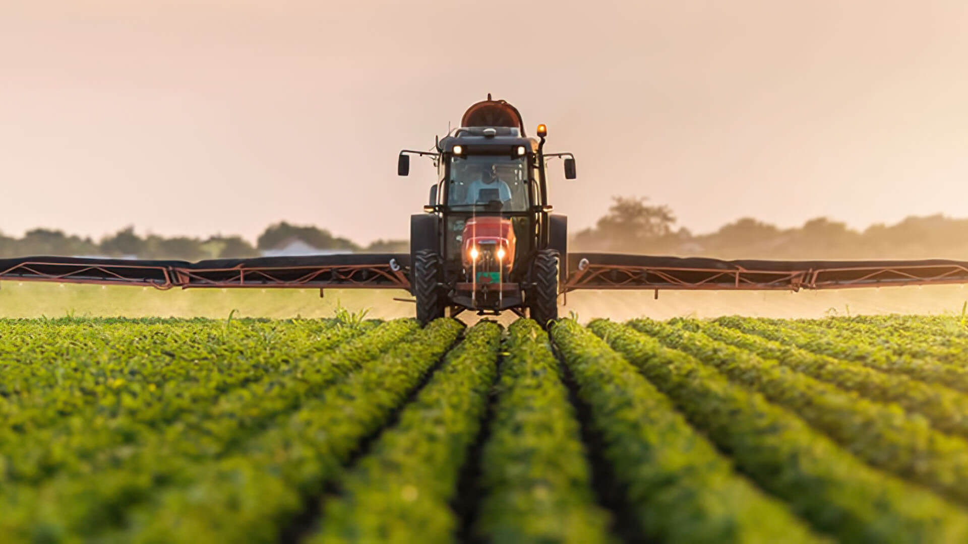 027181 - Proteção de Plantas - 2026/1:Bacharelado em Agronomia, Bacharelado, 9º Período, Matriz 12, Turno Integral (2026)