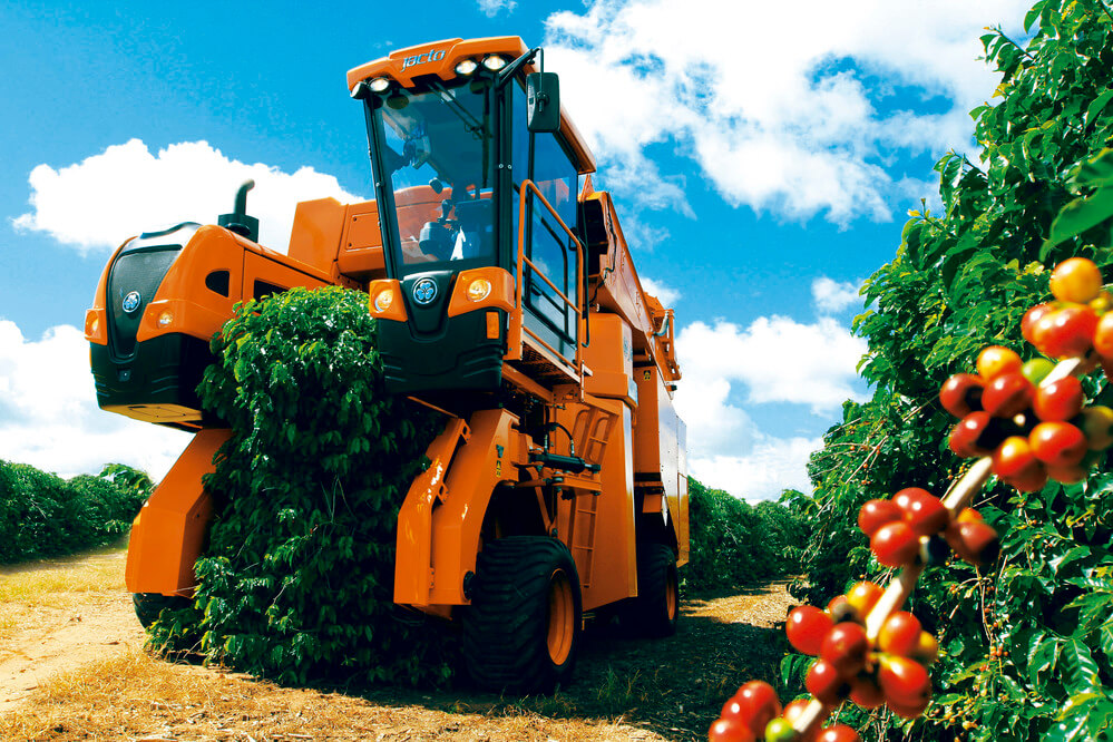 027875 - Culturas III (Algodão, café e cana-deaçúcar) - 2026/1:Bacharelado em Agronomia, Bacharelado, 9º Período, Matriz 281, Turno Integral (2026)