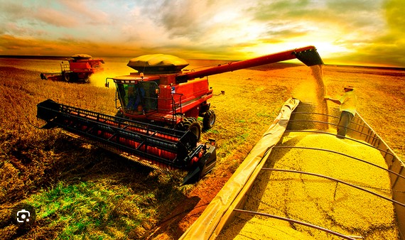 030948 - Química Geral - 2026/1:Bacharelado em Agronomia, Bacharelado, 1º Período, Matriz 373, Turno Integral (2026)