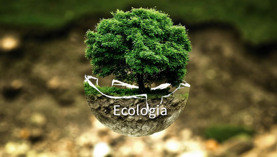 029821 - Ecologia - 2026/1:Bacharelado em Zootecnia, Bacharelado, 1º Período, Matriz 208, Turno Integral (2026)