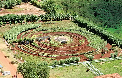 028048 - Prática Profissional Integrada I - 2026/1:Técnico em Agropecuária Integrado ao Ensino Médio, Integrado, 1º Período, Matriz 472, Turno Integral (2026)