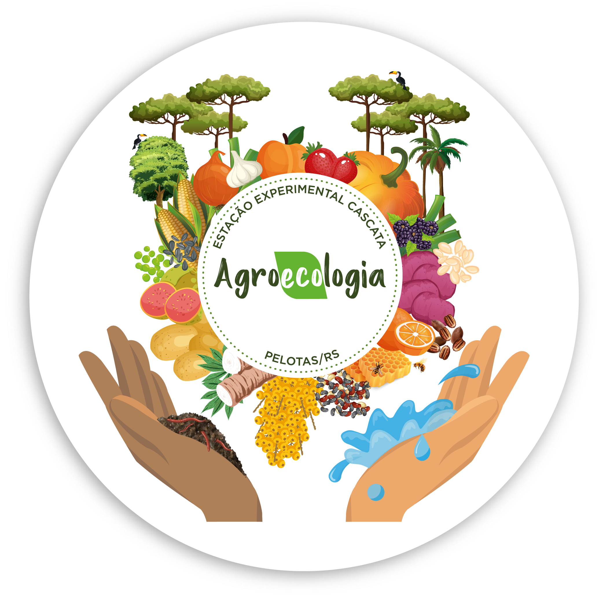 028293 - Agroecologia - 2026/1:Bacharelado em Agronomia, Bacharelado, 5º Período, Matriz 280, Turno Integral (2026)
