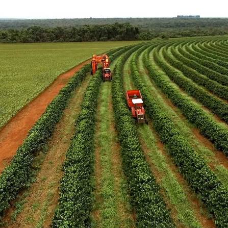 032906 - Introdução à Agronomia - 2026/2:Bacharelado em Agronomia, Bacharelado, 1º Período, Matriz 474, Turno Matutino (2026)