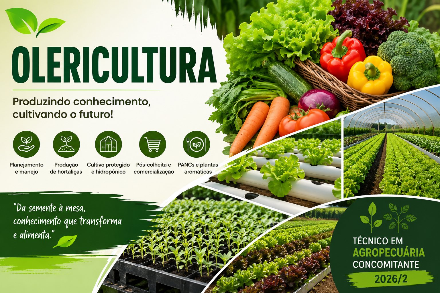 032830 - Olericultura - 2026/2:Técnico em Agropecuária, Técnico Concomitante, 2º Período, Matriz 581, Turno Matutino (2026)