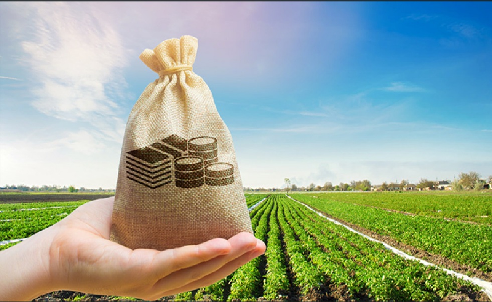 032826 - Administração Rural - 2026/2:Técnico em Agropecuária, Técnico Concomitante, 2º Período, Matriz 581, Turno Matutino (2026)