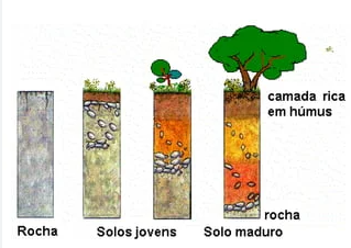032759 - Gênese, Morfologia e Classificação do Solo - 2026/2:Bacharelado em Agronomia, Bacharelado, 2º Período, Matriz 281, Turno Integral (2026)