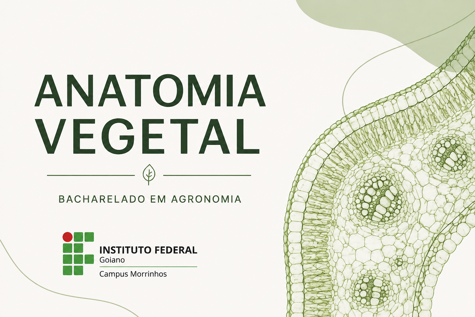 033480 - Anatomia Vegetal - 2026/2:Bacharelado em Agronomia, Bacharelado, 2º Período, Matriz 373, Turno Integral (2026)