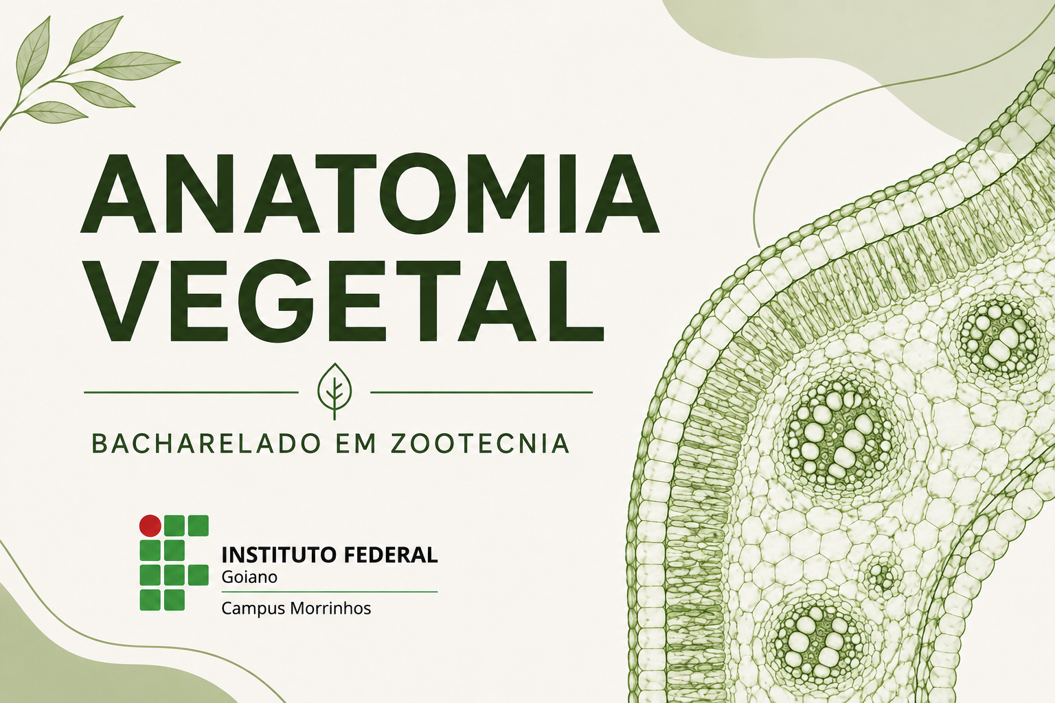 033921 - Anatomia Vegetal - 2026/2:[MO.GRAD] Bacharelado em Zootecnia - Morrinhos, Bacharelado, 3º Período, Matriz 340, Turno Integral (2026)