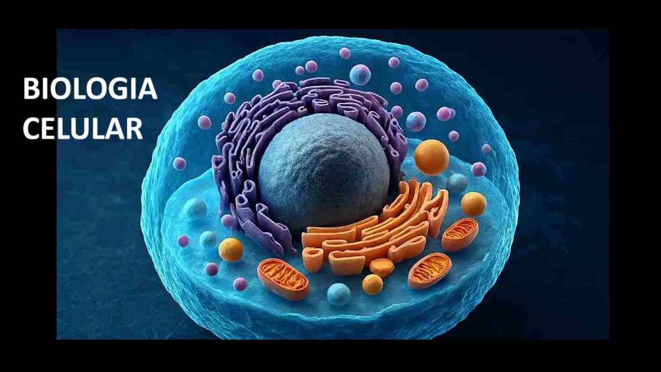 033920 - Biologia Celular - 2026/2:[MO.GRAD] Bacharelado em Zootecnia - Morrinhos, Bacharelado, 1º Período, Matriz 340, Turno Integral (2026)
