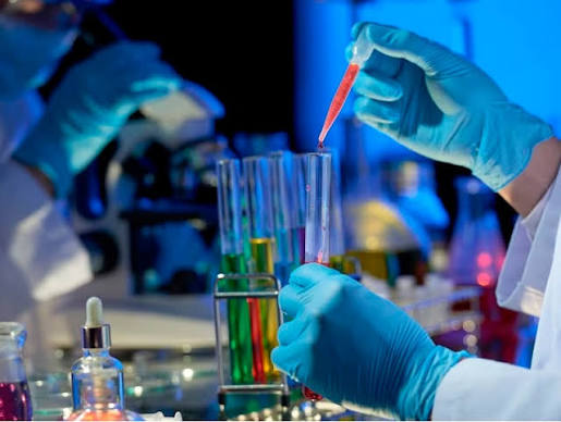 033460 - Bioquímica do Exercício - 2026/2:Educação Física, Licenciatura, 2º Período, Matriz 609, Turno Matutino (2026)