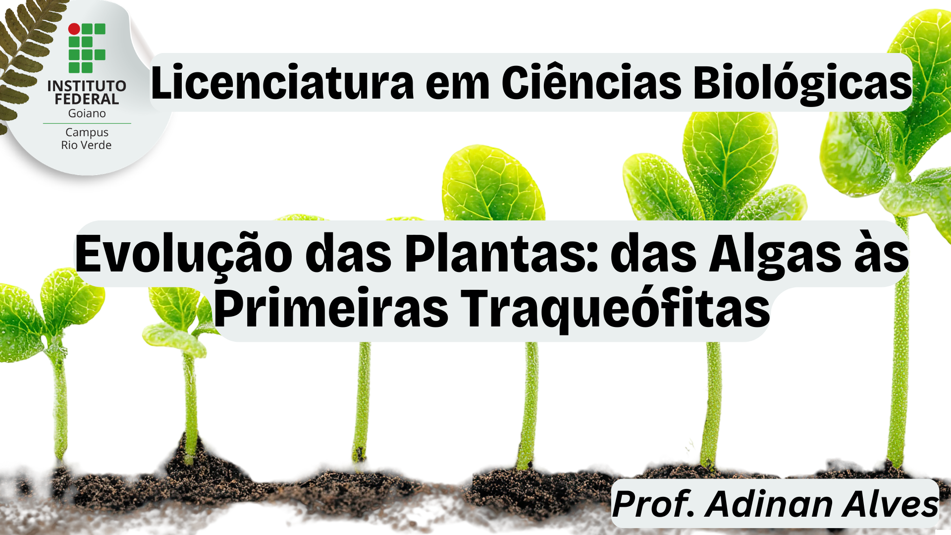 033194 - Evolução das Plantas: das Algas às Primeiras Traqueófitas - 2026/2:Licenciatura em Ciências Biológicas, Licenciatura, 2º Período, Matriz 575, Turno Noturno (2026)