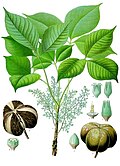 032457 - Física Aplicada às Ciências Agrárias - 2026/2:Bacharelado em Agronomia, Bacharelado, 2º Período, Matriz 578, Turno Integral (2026)
