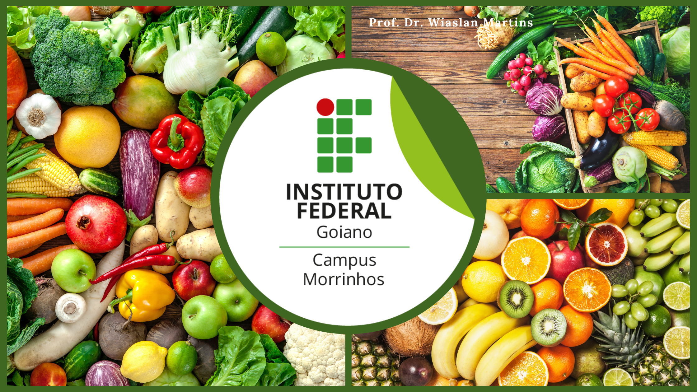 Técnico Integrado em Alimentos - Morrinhos - 2021/1_ALI_1 - 2021/1 ( 1º período ) - 161740 - Processamento de Frutas e Hortaliça